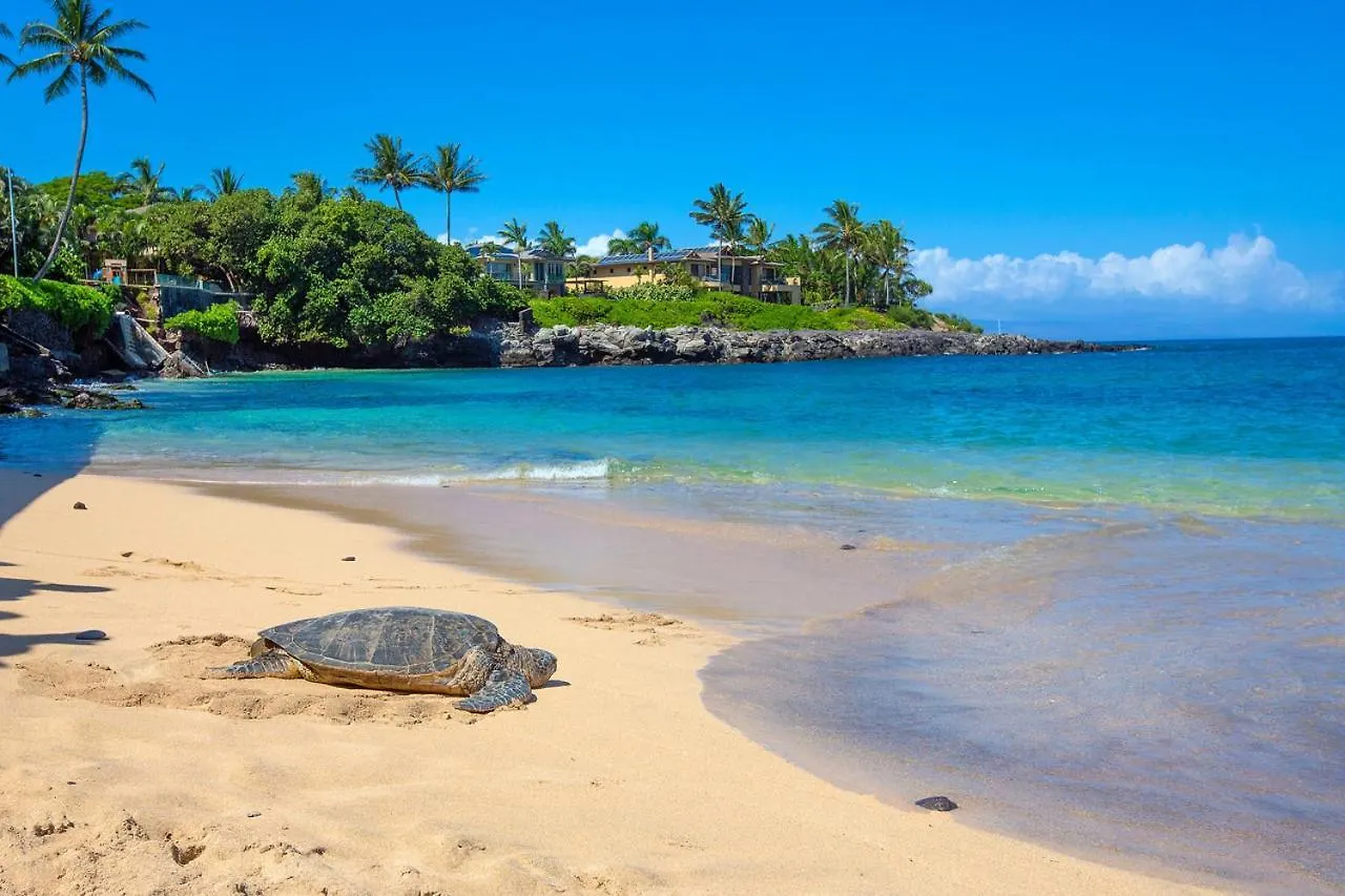 Holiday home Ground Floor & Ac! - Ks C1C - Sullivan Properties Kahana United States